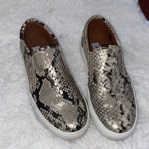 Steve Madden snakeskin slip on sneakers
